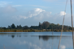 2014 Snoekwedstrijd Tienhoven (11)