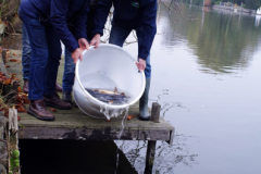 2018 Uitzetting Vecht GWPU (28)