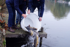 2018 Uitzetting Vecht GWPU (29)