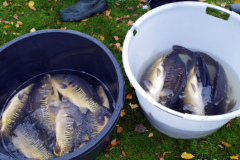 2018 Uitzetting Vecht GWPU (31)