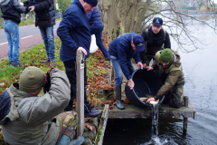 2018 Uitzetting Vecht GWPU (36)