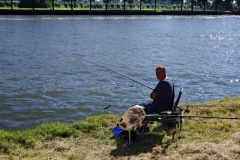 2019 06 ARK  (25)