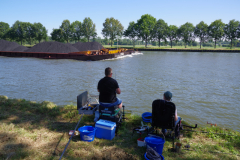 2019 06 ARK  (42)