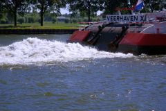 2019 06 ARK  (45)