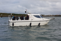 2019 Shark Atag  (11)