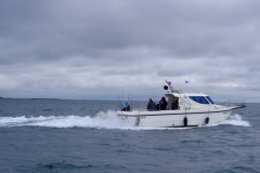 2019 Shark Atag  (15)