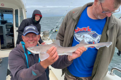 2019 Shark Atag  (40)