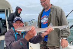 2019 Shark Atag  (41)