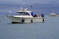 2019 Shark Atag  (46)