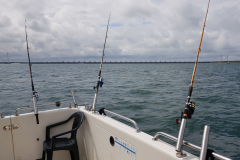 2019 Shark Atag  (53)