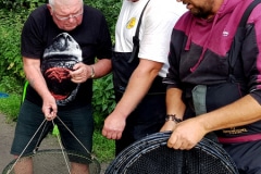 2019 Witvissers KlPl  (16)