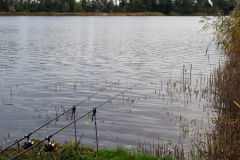 2019 Wedstrijd GrPl  (33)