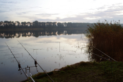 2019 Wedstrijd GrPl  (41)