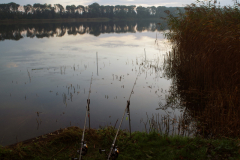 2019 Wedstrijd GrPl  (42)