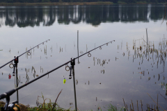 2019 Wedstrijd GrPl  (44)