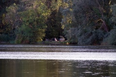 2020-09-CC-Moore-26