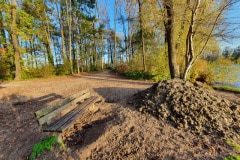 2020-11-Stekonderhoud-KlPl-16