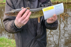 2022-02-11-Snoekwedstrijd-21