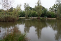 IMGP2790