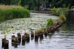 2025-06-09-Wil-van-Leeuwen-30