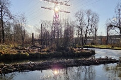 2026-01-14-Vissenbos-13