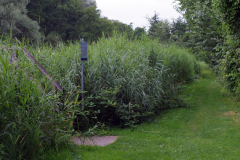 2026-07-18-Viskaravaan-49