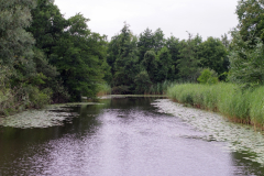2026-07-18-Viskaravaan-52
