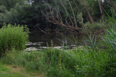 2026-07-18-Viskaravaan-54