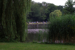 2026-07-18-Viskaravaan-56