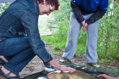 Carp Clinic 2011 16