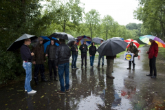 2013 Wedstrijd Grote Plas (22)