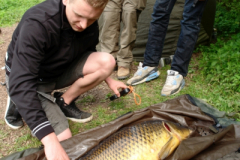 2011 Carp Challenge 011