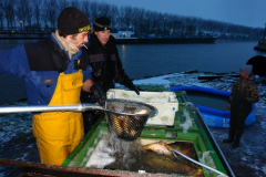 Uitzetting 2015 ARK Maarssen 004