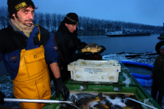 Uitzetting 2015 ARK Maarssen 005