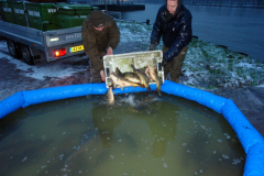 Uitzetting 2015 ARK Maarssen 009