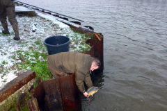 Uitzetting 2015 ARK Maarssen 010