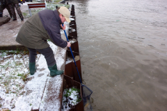 Uitzetting 2015 ARK Maarssen 014
