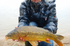 306 Donny 5 II
