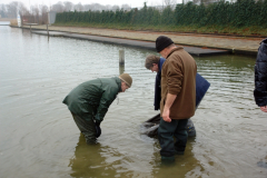 Uitzetting 2013 GrPl 015