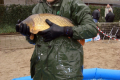 Uitzetting 2013 GrPl 017