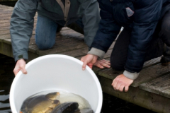 2011 Uitzetting Kleine Plas 0084