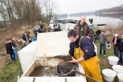 2011 Uitzetting Kleine Plas 019