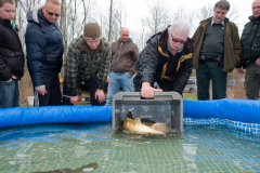 2011 Uitzetting Kleine Plas 029