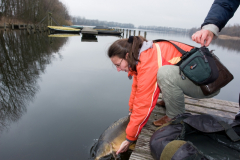 2011 Uitzetting Kleine Plas 053