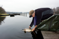 2011 Uitzetting Kleine Plas 058