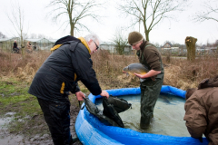 2011 Uitzetting Kleine Plas 070