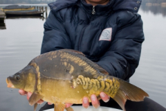 2011 Uitzetting Kleine Plas 078