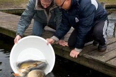 2011 Uitzetting Kleine Plas 085 small