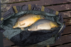 2011 Uitzetting Kleine Plas 087