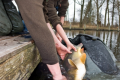 2011 Uitzetting Kleine Plas 094